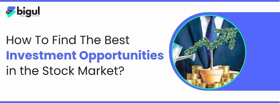 Best Investment Opportunities in the Stock Market